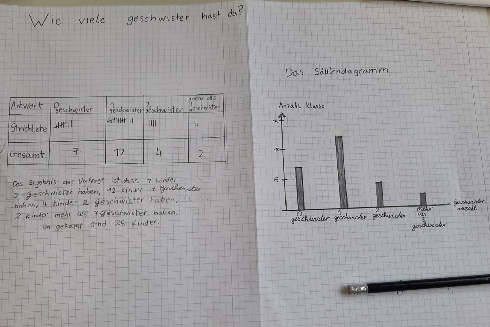 Projekt Mathematik Diagramme Deutsche Schule Colegio Alemán